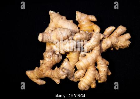 Ginger Roots on a dark background Stock Photo