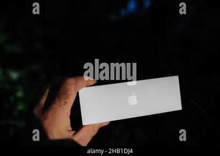 Male hand showing new carboard package of Apple Computers new latest iPad Mini Stock Photo