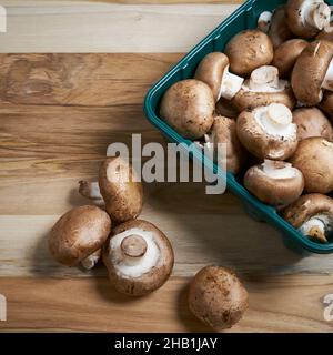 Fresh Baby Bella Mushrooms being taken out of the package on a wood kitchen countertop Stock Photo