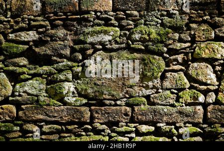 Ancient stone wall with moss background Stock Photo