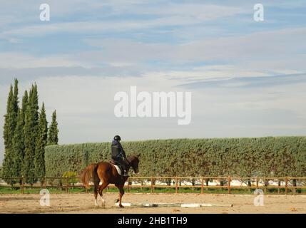 Kid leaning horseback riding at ranch. Stock Photo