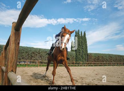 Boy galloping with horse at the ranch. Stock Photo