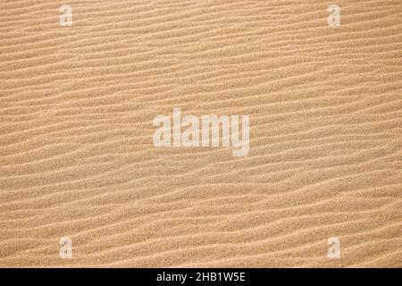 Desert sand texture. Desert sand dune. Stock Photo