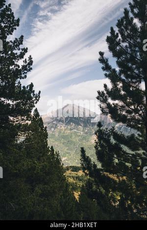 Far away hight mountain framed in between pine trees just before sunset. Stock Photo