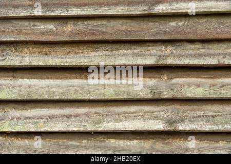 A wall made of old horizontal boards, old paint and knots Stock Photo