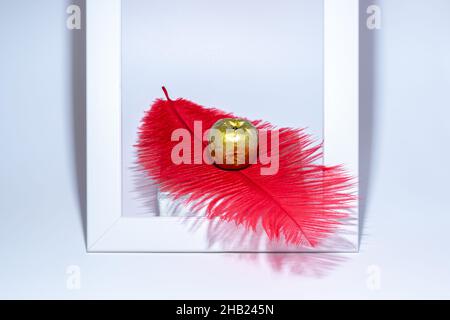 Framed golden apple and bright red feather on white. Fine art texture background Stock Photo