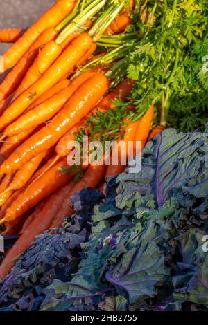 purple sprouting broccoli and freshly picked organic carrots on farmers market stall selling fresh fruits and vegetables, healthy eating organic food. Stock Photo