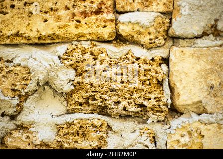 Shell bricks texture. Construction backgrounds. Stock Photo