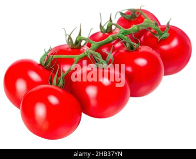 Tomato branch isolated on white background Stock Photo
