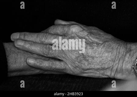 From life drawn hands of an elderly man Stock Photo