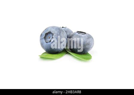 Three ripe blueberries, isolated on white background Stock Photo