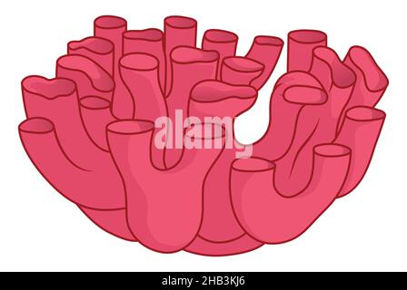 Rough endoplasmic reticulum Cut Out Stock Images & Pictures - Alamy