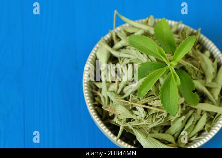 Stevia twig close-up in a round cup on blue background.Organic natural sweetener.Stevia rebaudiana. Stevia plants.Stevia green twig and Dried leaves, Stock Photo