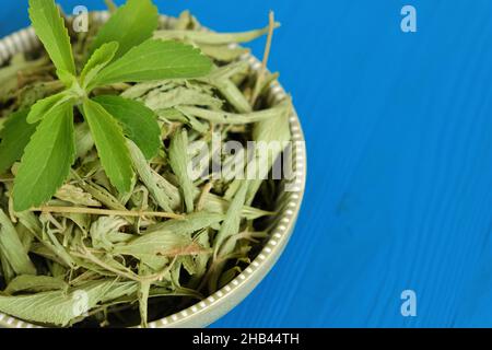 Stevia twig close-up in a round cup on blue background. natural sweetener.Stevia rebaudiana. Stevia plants.Stevia fresh green twig and Dried leaves, Stock Photo
