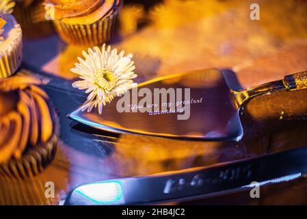 Silver cake serving utensils engraved with the phrase 'You are my greatest adventure' at wedding reception cake table Stock Photo