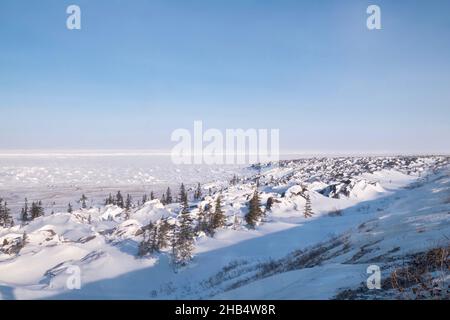 The snowy winter coastline and frozen white surface of Hudson Bay near Churchill, Manitoba, Canada. Stock Photo