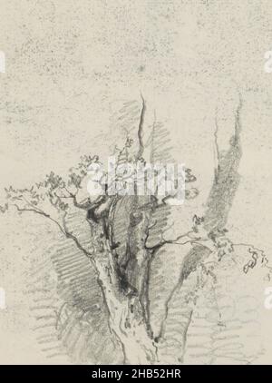 Page 16 verso from a sketchbook with 19 pages, Tree in leaf, Maria Vos, 1858 Stock Photo