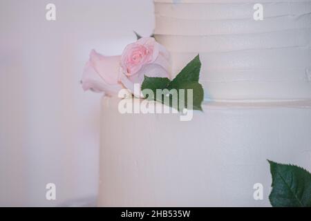 Beautiful  wedding cake with pink roses Stock Photo