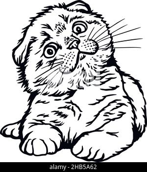 Cat, Peeking kitten - Cheerful kitty isolated on white - vector stock illustration Stock Vector