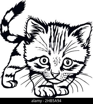Cat, Peeking kitten - Cheerful kitty isolated on white - vector stock illustration Stock Vector