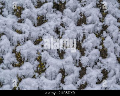 The texture of the adhesion of snow on a concrete wall. Stock Photo
