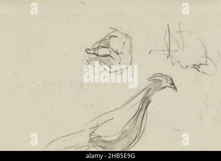 Among other two studies of a goose or duck. Page 79 from a sketchbook with 82 pages., Birds, draughtsman: Floris Arntzenius, The Hague, c. 1883 - c. 1914, Floris Arntzenius, c. 1883 - c. 1914 Stock Photo