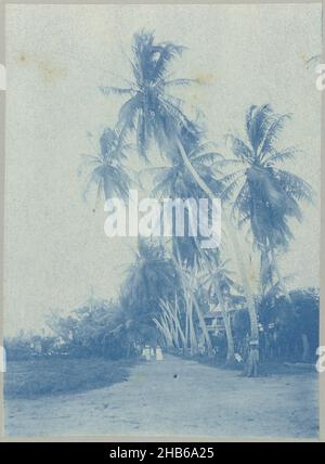 Coronie (title on object), Coconut trees along a road on which a house stands, on the road several passers-by, at Coronie. Part of the photo album Souvenir de Voyage (part 2), about the life of the Doijer family in and around the plantation Ma Retraite in Suriname in the years 1906-1913., Hendrik Doijer (attributed to), Suriname, 1906 - 1913, photographic support, cyanotype, height 167 mm × width 121 mm Stock Photo