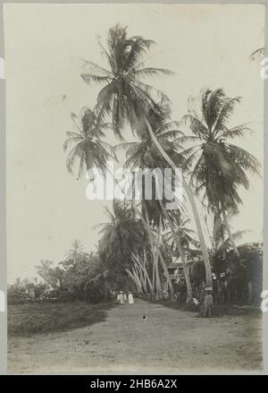 Coronie (title on object), Coconut trees along a road on which a house stands, on the road several passers-by, at Coronie. Part of the photo album Souvenir de Voyage (part 2), about the life of the Doijer family in and around the plantation Ma Retraite in Suriname in the years 1906-1913., Hendrik Doijer (attributed to), Suriname, 1906 - 1913, photographic support, gelatin silver print, height 171 mm × width 119 mm Stock Photo