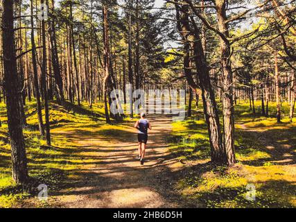 Back view male caucasian person runs on forest trail surrounded by pine trees Stock Photo