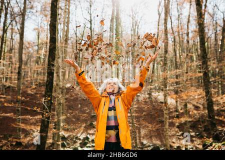 Two senior female friends hiking together through the forest in autumn Stock Photo