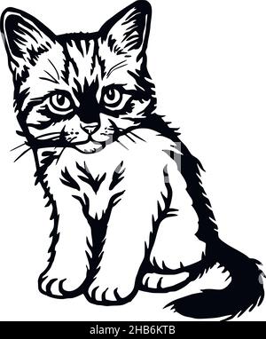 Cat, Peeking kitten - Cheerful kitty isolated on white - vector stock illustration Stock Vector