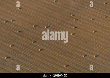 harvested grain field with round bales, aerial view , Germany, Schleswig-Holstein, Neufelder Koog Stock Photo