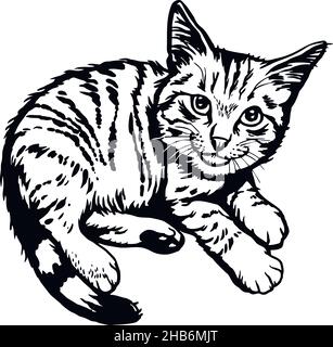 Cat, Peeking kitten - Cheerful kitty isolated on white - vector stock illustration Stock Vector