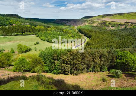 North Yorkshire Moors steam railway cuts through the woodland and moorland under blue sky on a bright sunny morning near Levisham, Yorkshire, UK. Stock Photo