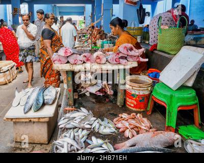 Pondicherry, India - January 17, 2016. Vendors and customers in the fresh fish section of the public indoor market in Puducherry. Stock Photo