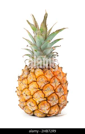 pineapple isolated on white background Stock Photo