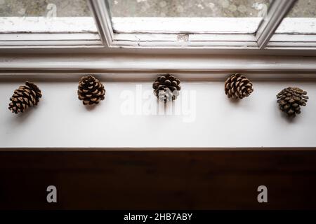 Pine cones lined up in a display on window sill old paned glass vintage windows with natural light on display. Stock Photo
