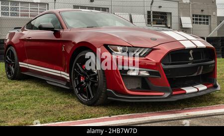 PONTIAC, MI/USA - SEPTEMBER 22, 2021: A 2021 Ford Shelby Mustang GT 500 car at Motor Bella, at the M1 Concourse, near Detroit, Michigan. Stock Photo