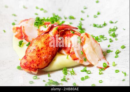 Chunks of cooked cut lobster meat served on a plate. High quality photo Stock Photo