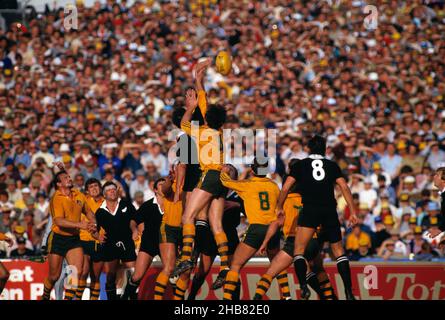 Rugby Union Football. New Zealand All Blacks against Australian Wallabies.