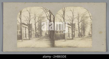 Plantage Lepellaan with colonnade, originally from the estate Binnenvreugd, Amsterdam, anonymous, Amsterdam, 1853 - 1863, cardboard, paper, albumen print, height 85 mm × width 175 mm Stock Photo
