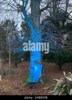 Waddeston Manor National Trust UK Stock Photo