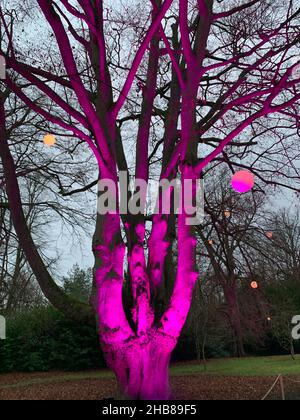 Waddeston Manor National Trust UK Stock Photo