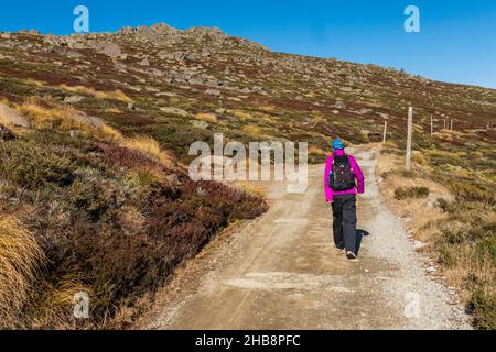 Australia, NSW, Kosciuszko National Park, Woman hiking at Charlotte Pass Stock Photo
