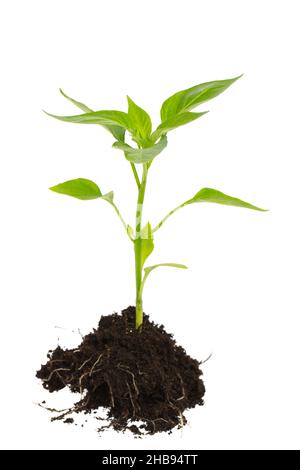planter pot plastic Viagrow 45 gal Round Plastic Plant Pots main image 1