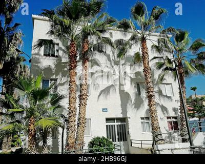 The shadows of the palm trees are reflected on the wall of a white house in sunny Puerto de la Cruz Stock Photo