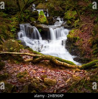 The main waterfall at Melincourt Brook in Resolven, South Wales, UK Stock Photo
