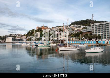 Wellington Waterfront, marina and boatsheds with the hills and Saint Gerard's Church behind Stock Photo