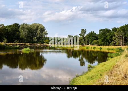 deciduous forest and the wide-spread Warta River in Poland Stock Photo