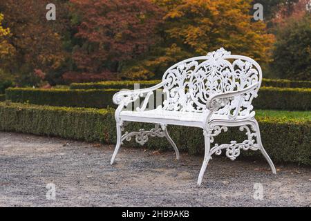 Rustic white bench in autumn park. Empty metal outdoor chair in ornamental garden Stock Photo